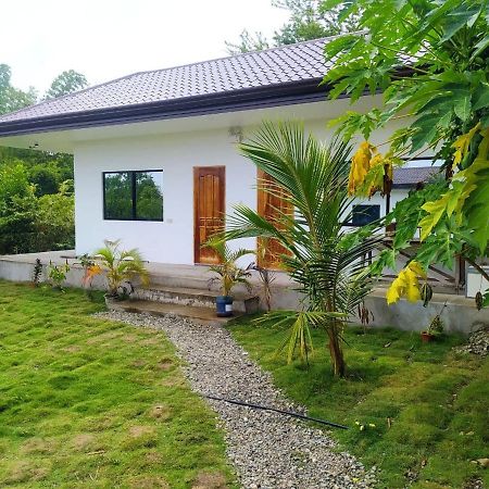 Funny Jellyfish Resort Moalboal Bagian luar foto