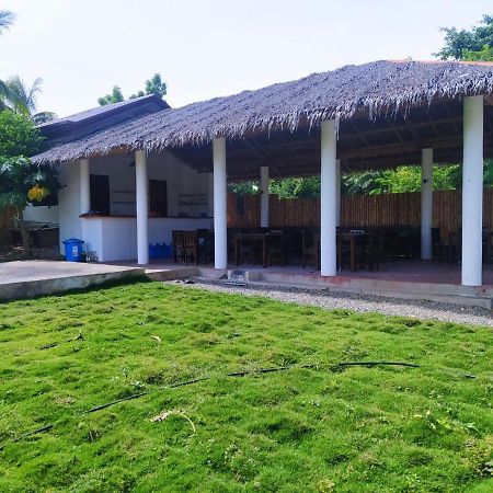 Funny Jellyfish Resort Moalboal Bagian luar foto